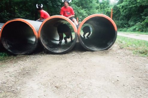 In the tubes...a mere competitor...