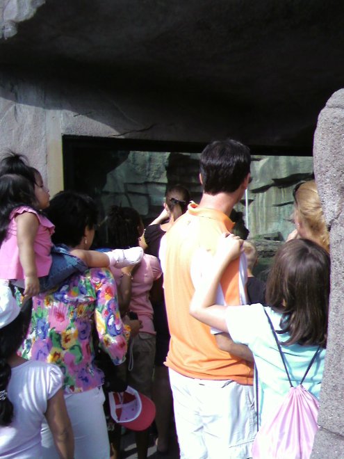 All I see is: lunch, lunch and more lunch!