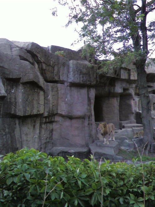 Oh!! Isn't he cute?!?! 