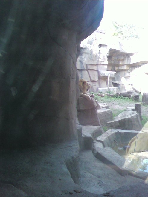 Dumb-ass, crazy humans. I'll kill them all as soon as I get big enough.