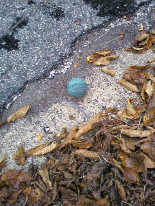 Golf Ball. Ignoring the fact that it's garbage, isn't this a good picture?? Look at the color and detail. I took that with my phone camera! In the rain!