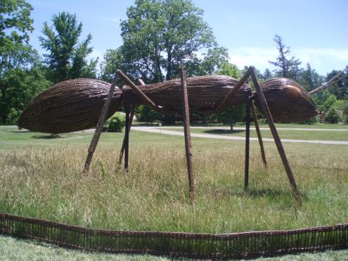 Large and in charge!