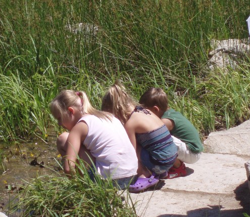 Hey guys! There's a giant bug sitting in the weeds right in front of you! We could look in the mud at home. For free. I had to put it in though, because it's just too cute. 